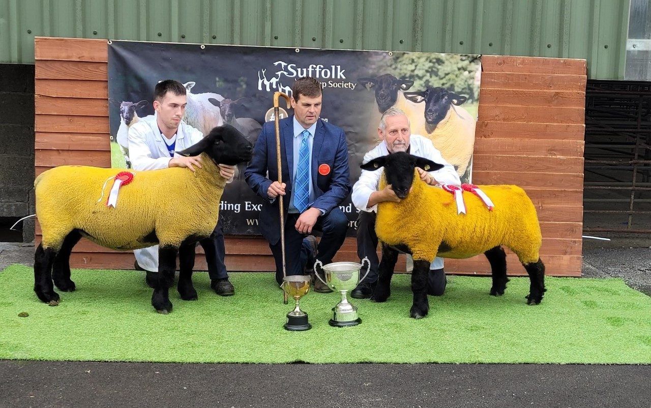 Suffolk premier sale: Export trade down but no shortage of quality
