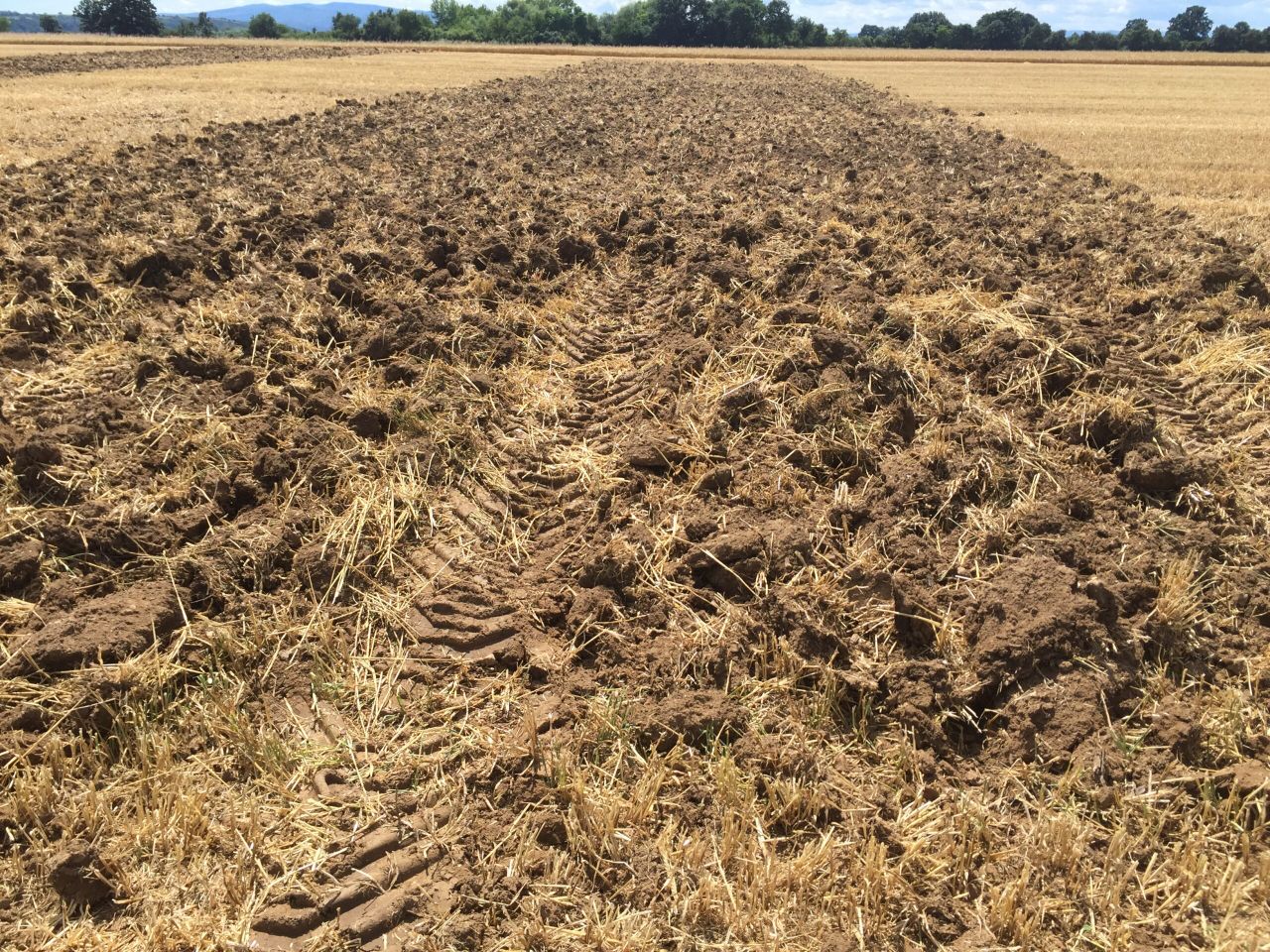Soil selenium levels set to crash