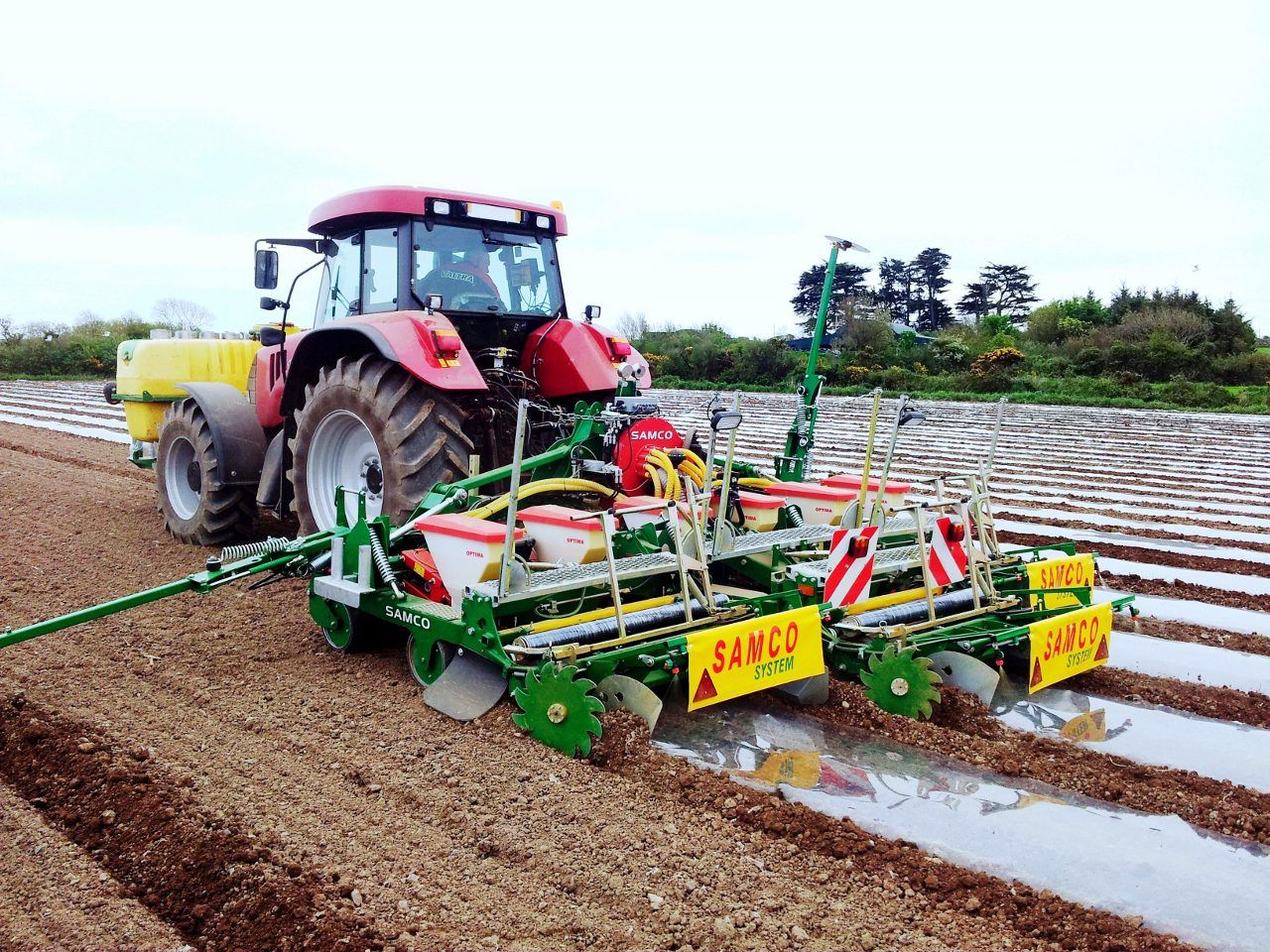 Popularity of maize as a buffer feed on the increase