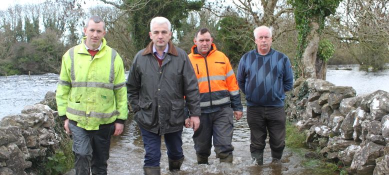 IFA's top man in Connacht facing competition to retain post