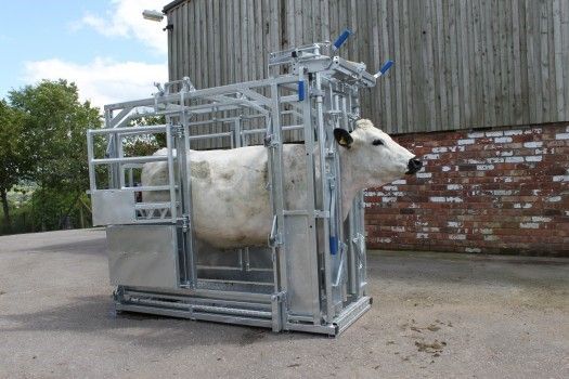 Options for cattle handling equipment under 40% grant scheme