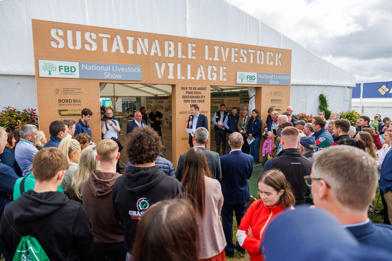 Tullamore Show attracts more than 5,000 entries this year