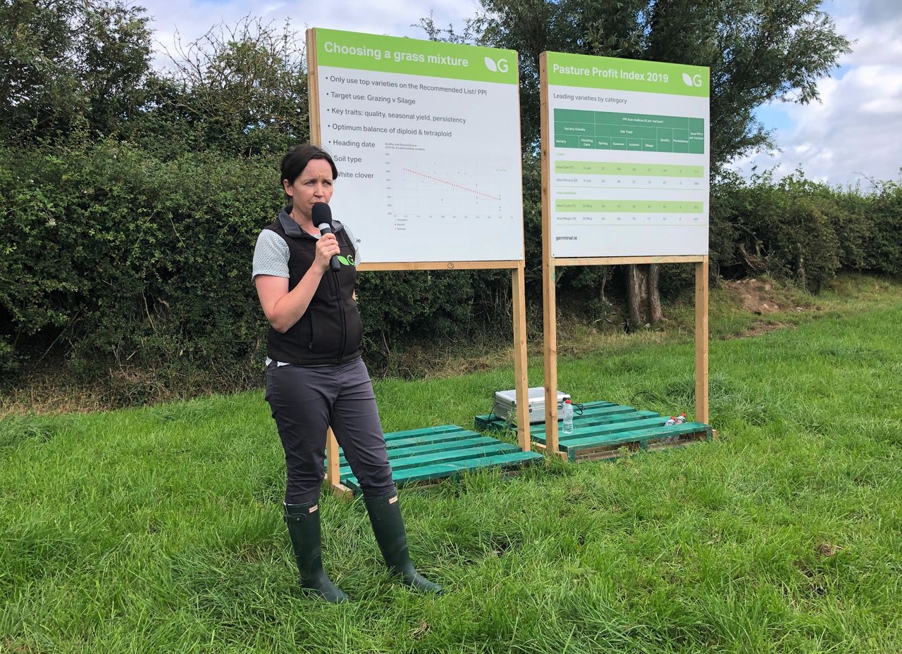 Do you know what grass varieties you will sow this autumn?