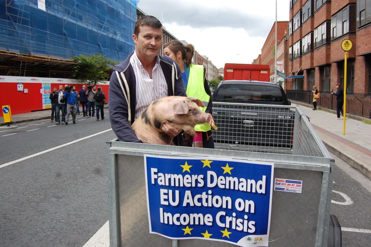IFA calls for the introduction of pigmeat export refunds