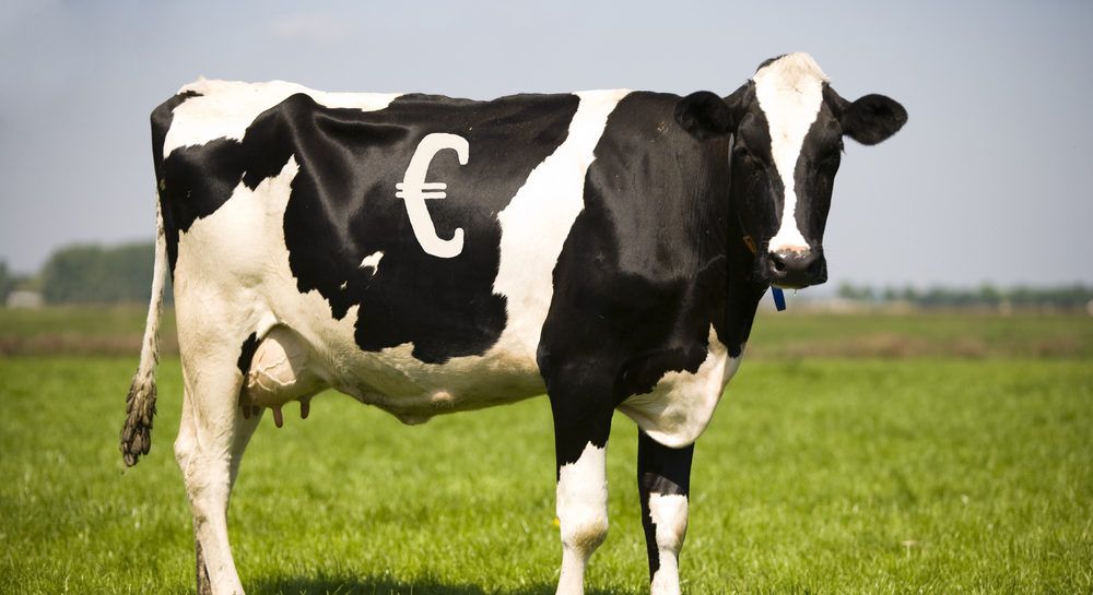 Efficiencies at home are key to profitable dairy future