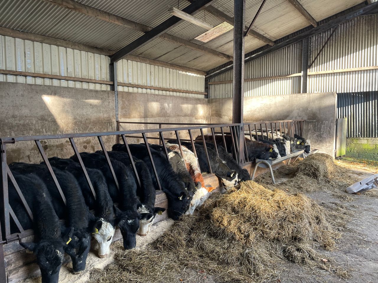 Changes to DBI set to appear in November evaluations
