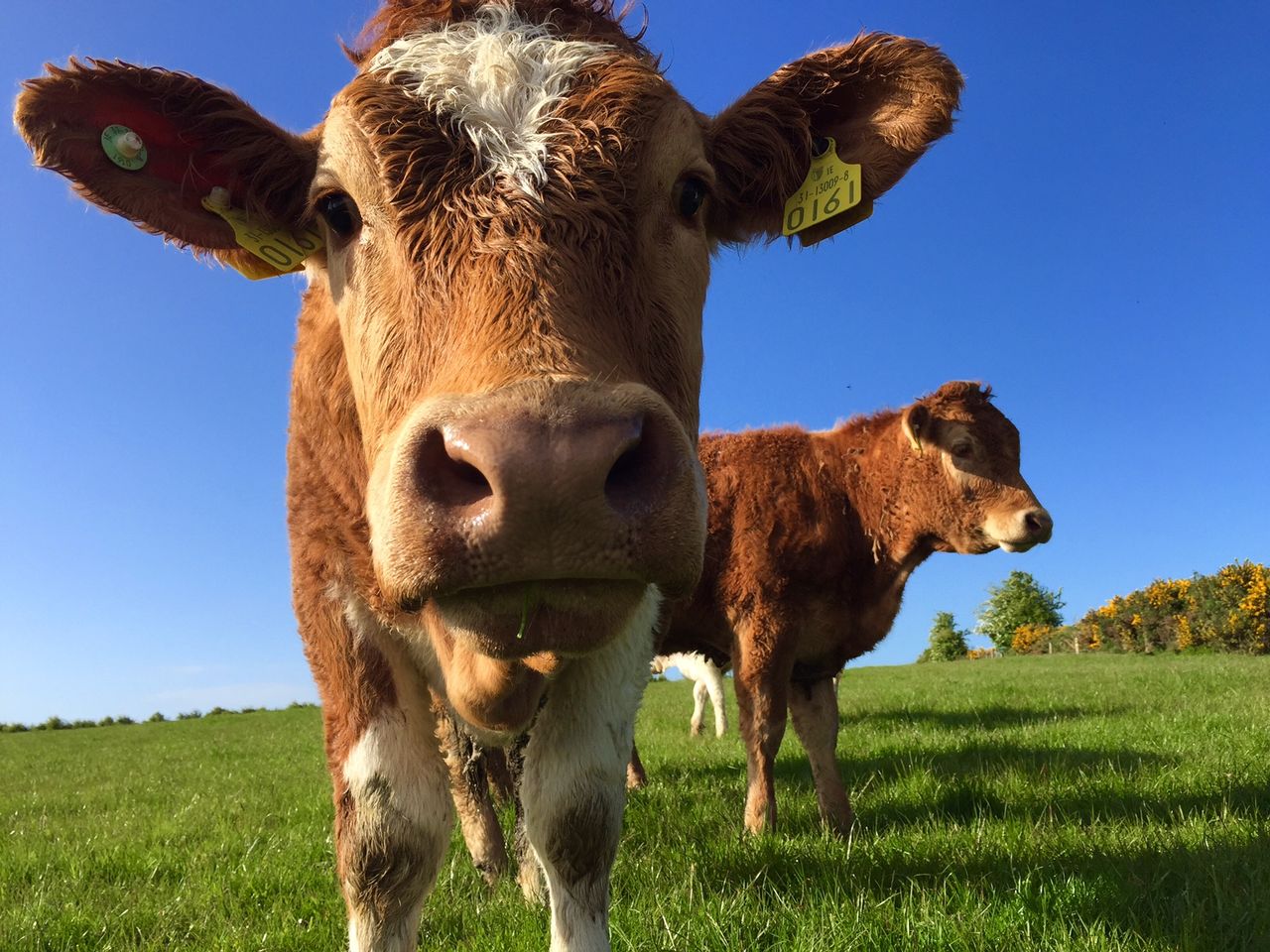 Mercury to hit 23 degrees this weekend, warm weather in store - Met Eireann