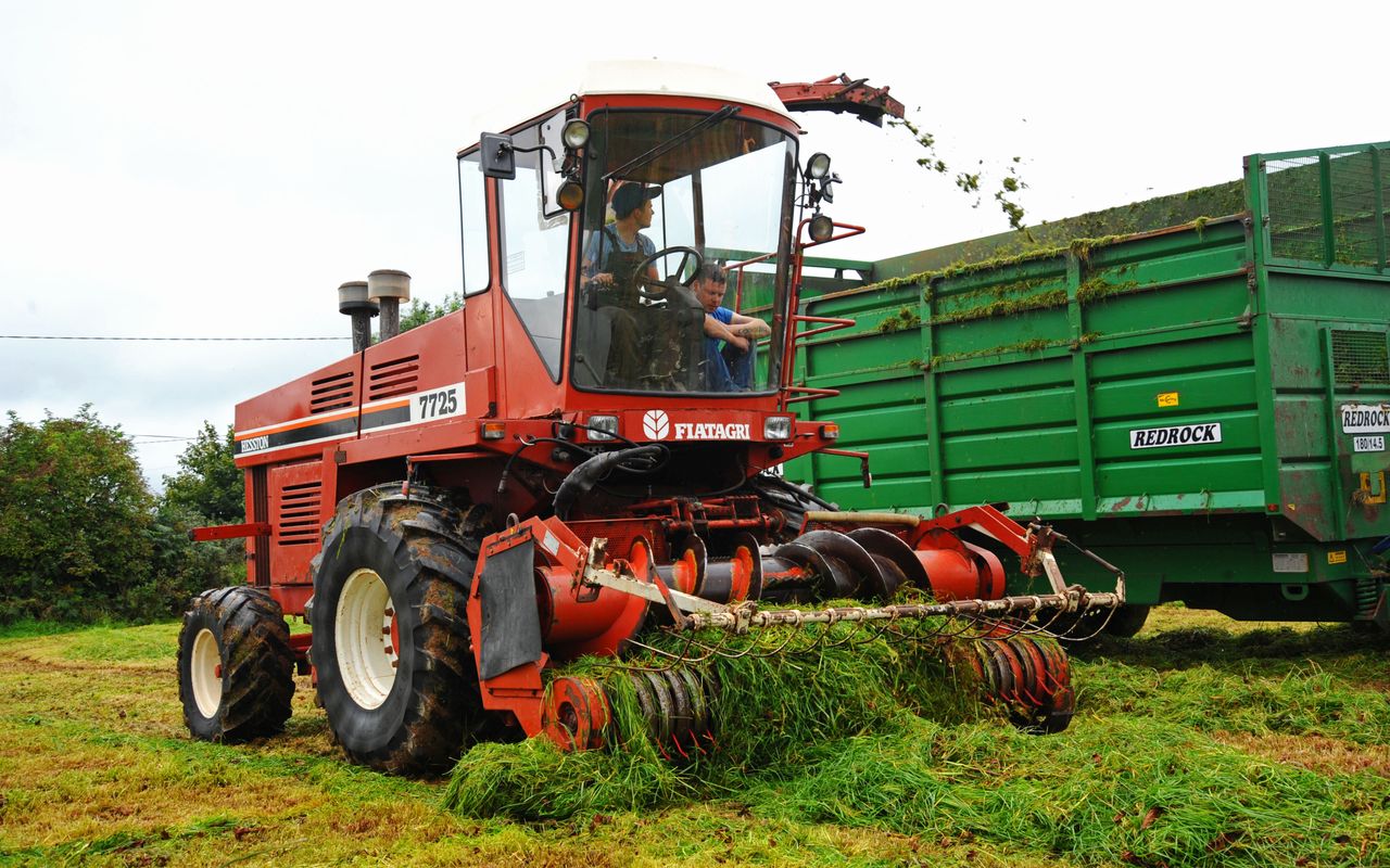 Machinery Focus: Dawn of the self-propelled forage harvester