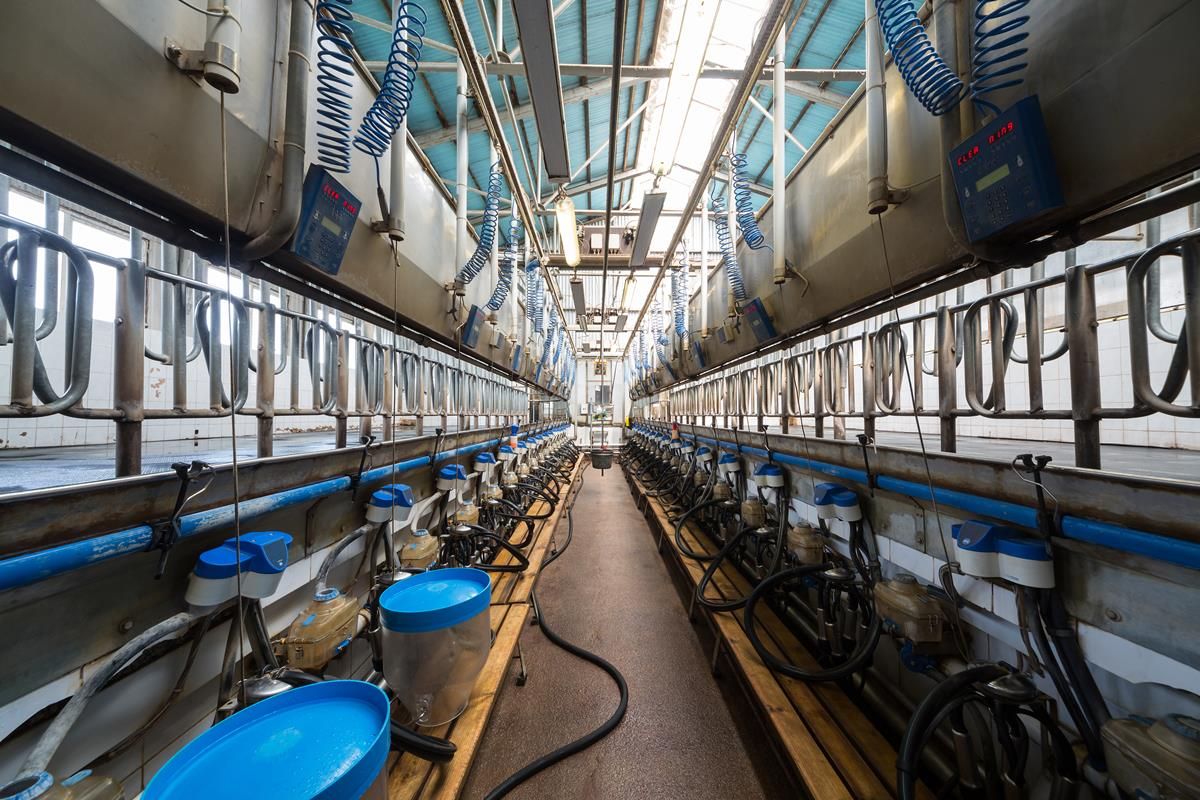 EU milk production growth starting to slow down