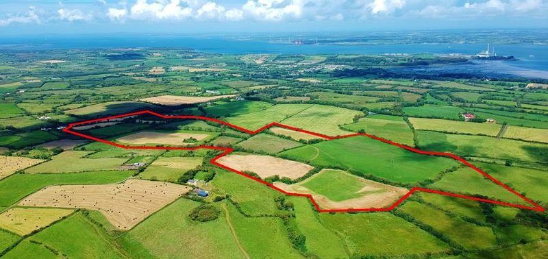 Munster market: High-quality grassland up for grabs in 2 locations