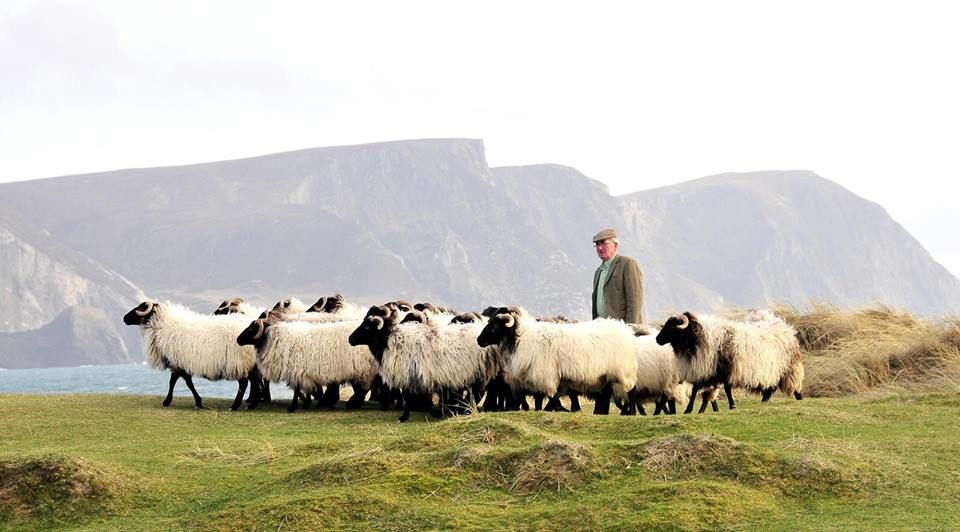 Achill farmer shortlisted for national farming award