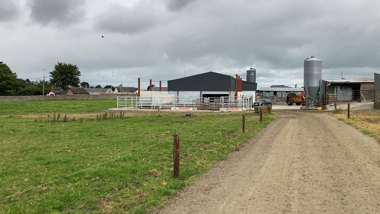Back In Focus: Settling in nicely to a new modern dairy unit in Co. Tipperary