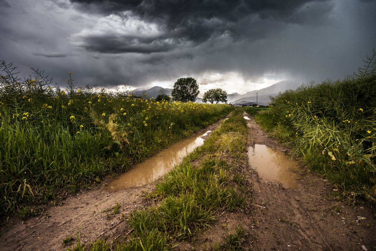 Weekend weather: Wet and windy amid Status Yellow warnings