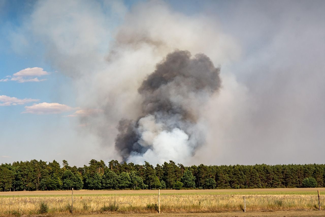 DAFM issues condition red extreme forest fire risk warning