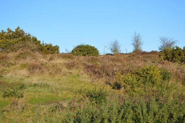 New EU land designations will see  large areas of farmland 'sterilised' - INHFA
