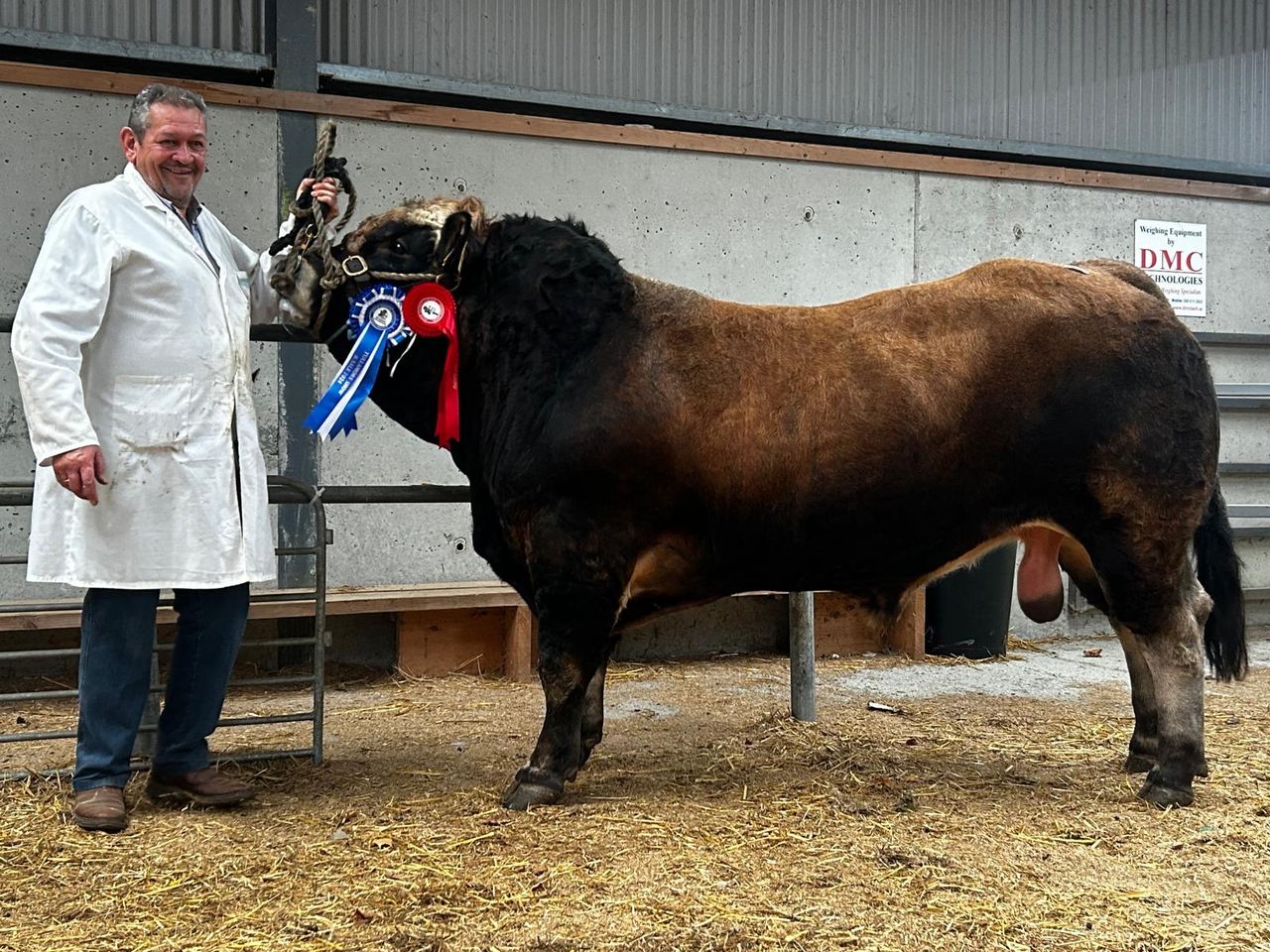 2 Aubrac bulls make €5,000 at society premier show and sale
