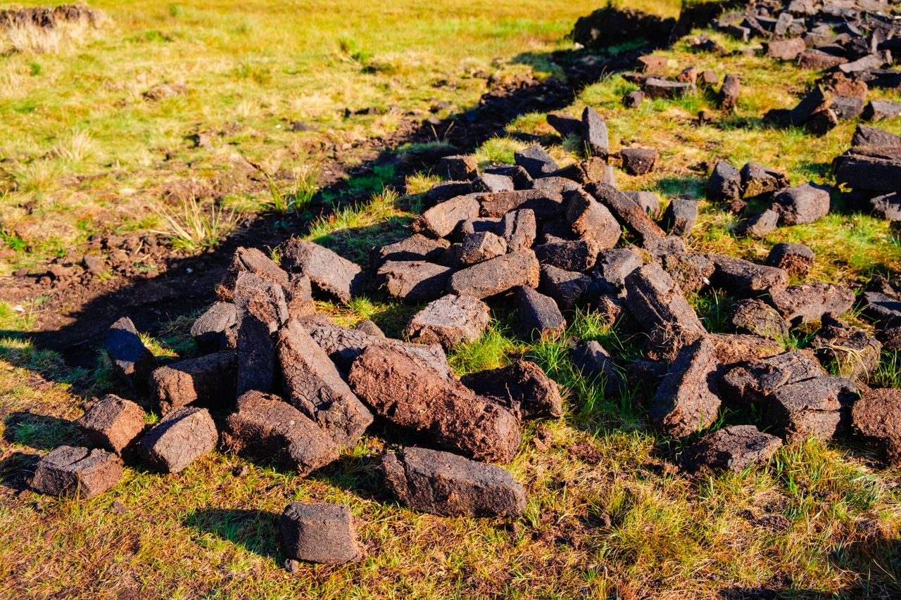 EU turf cutting case could 'unravel years of work' - MEP
