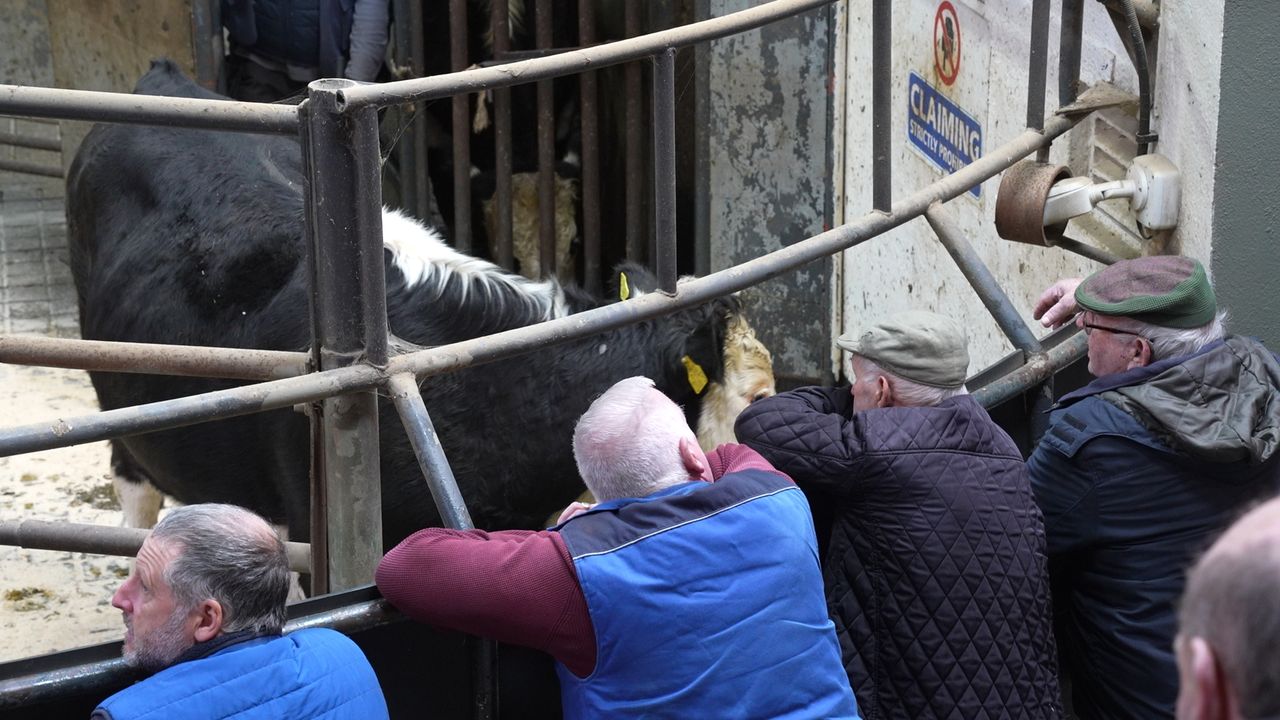 Watch: Catch up at the mart -'the cost of everything has just gone beyond reach'
