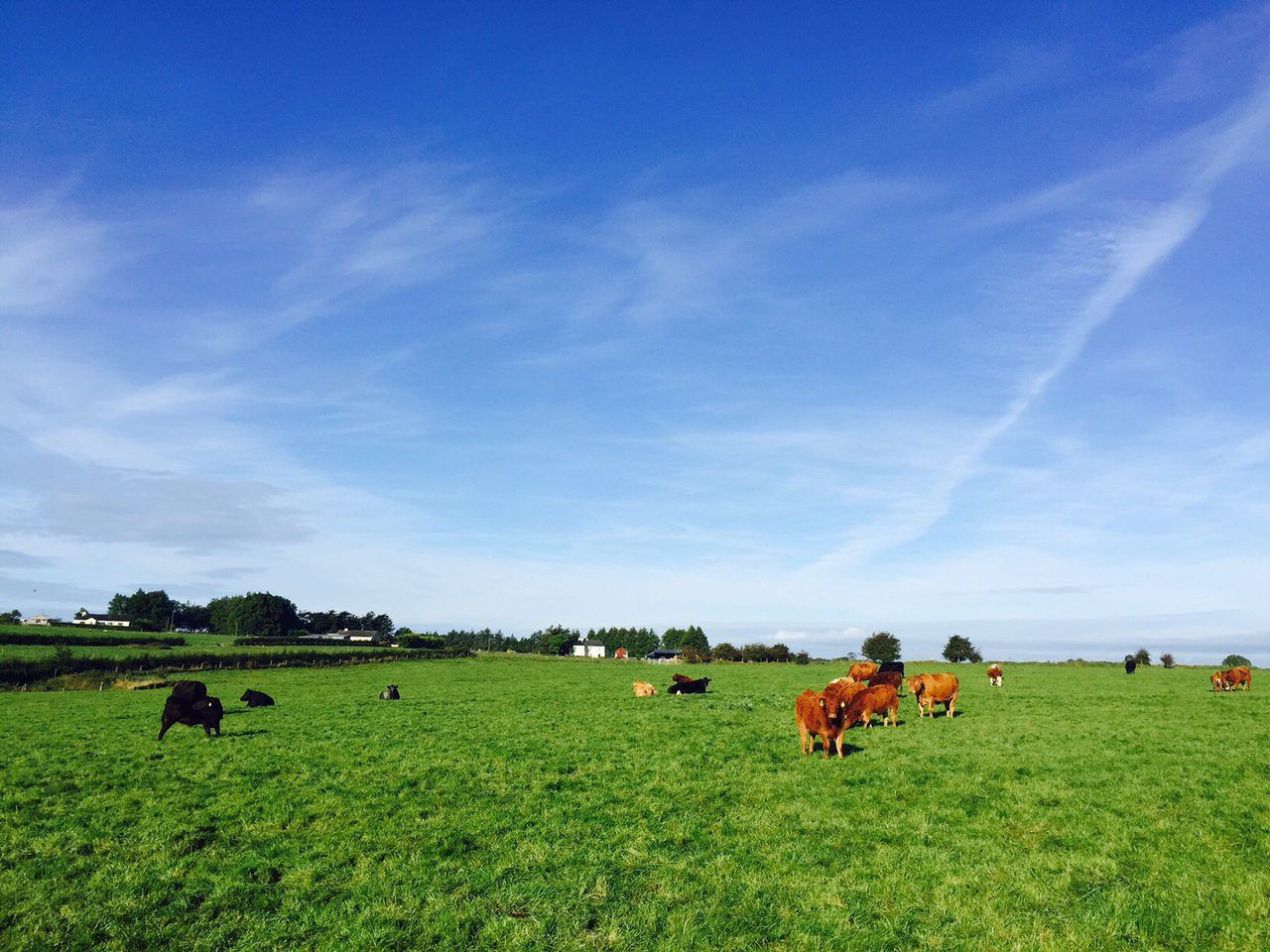 Government urged to give farmers 'fair share' of BAR fund