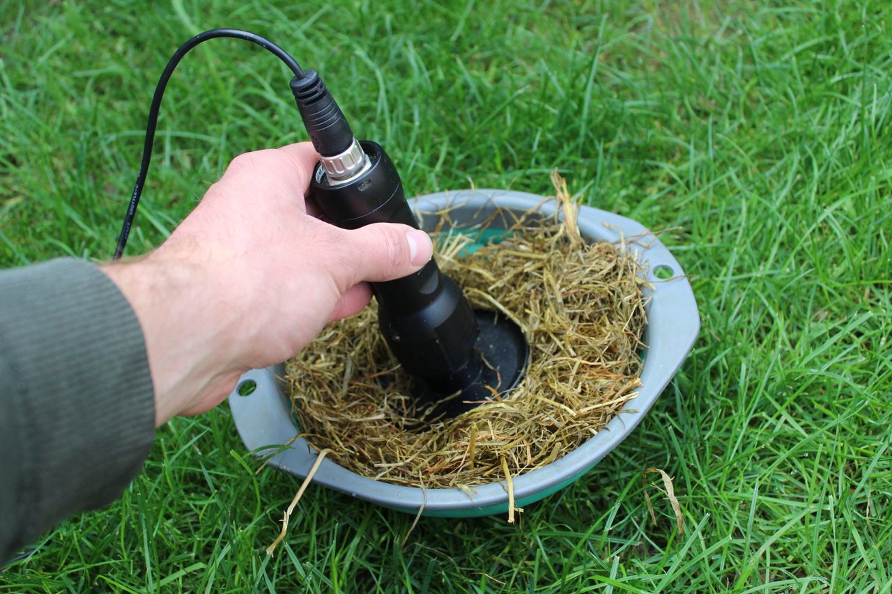 Testing silage: Getting the most out of your winter milk contract