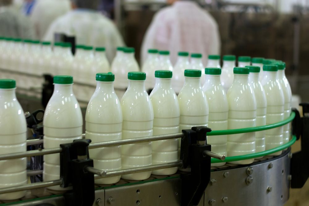 Premium price and risk of illness doesn't sour the taste for raw milk