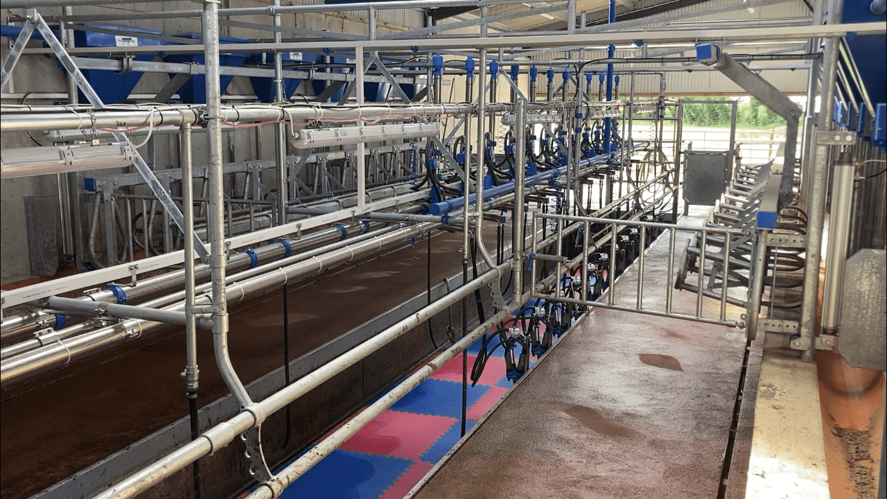Buildings Focus: 12-unit parlour for a 52-cow herd in Westmeath