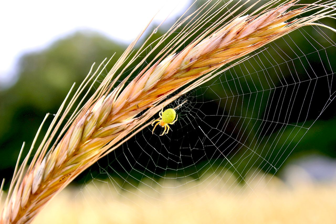 Teagasc reveals winners in research and innovation photo contest