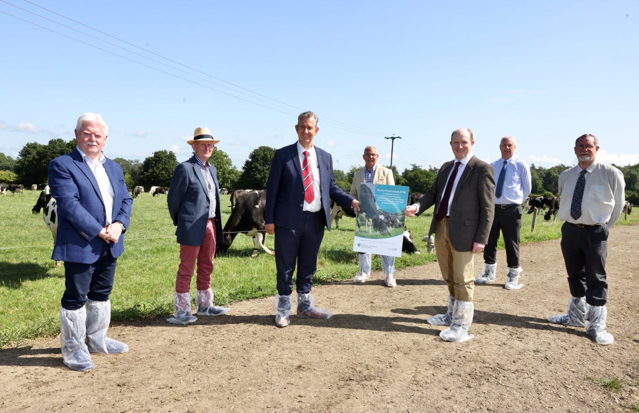 Details of Northern Ireland's new bovine TB strategy revealed