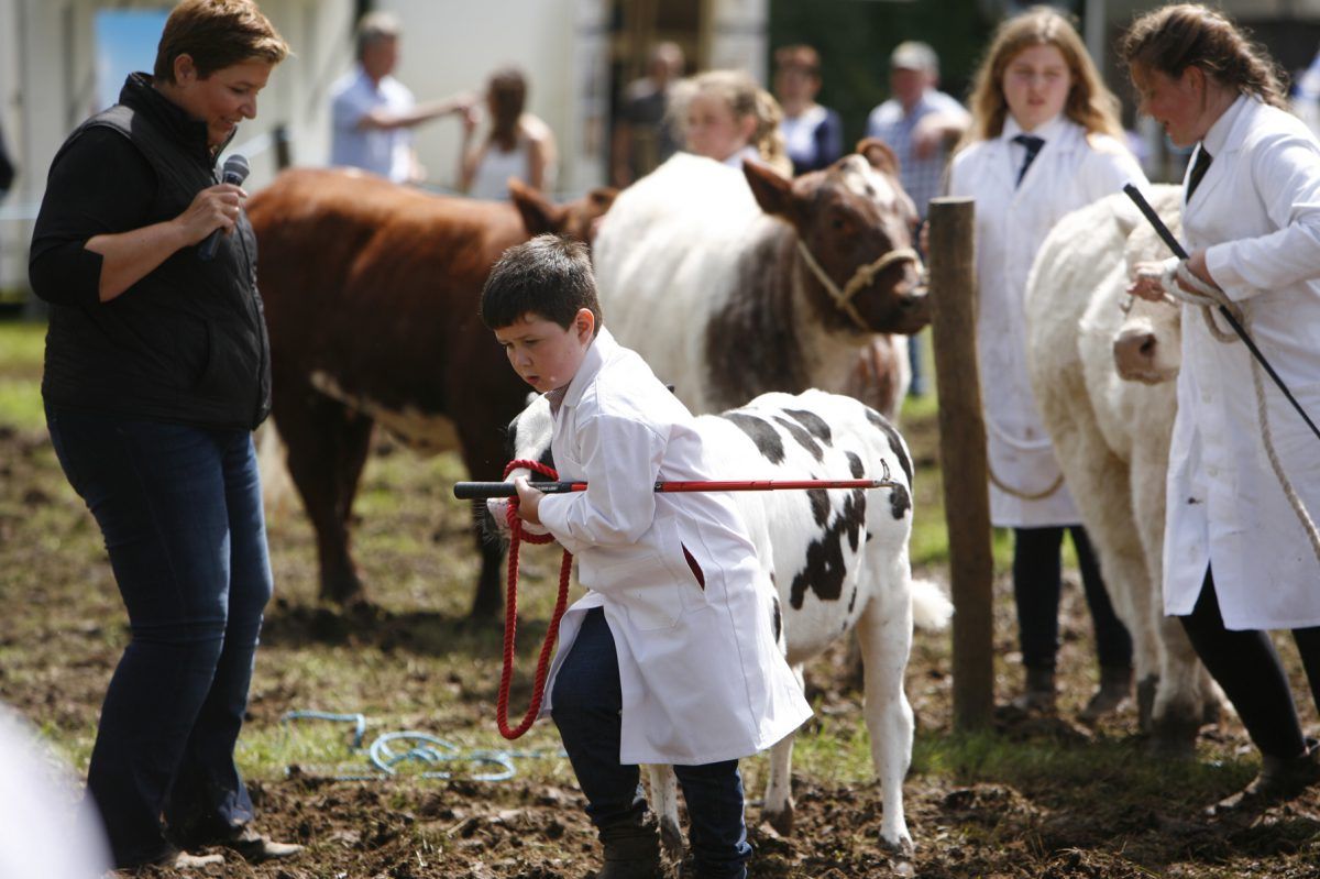 Vintage enthusiasts and show society get the royal nod