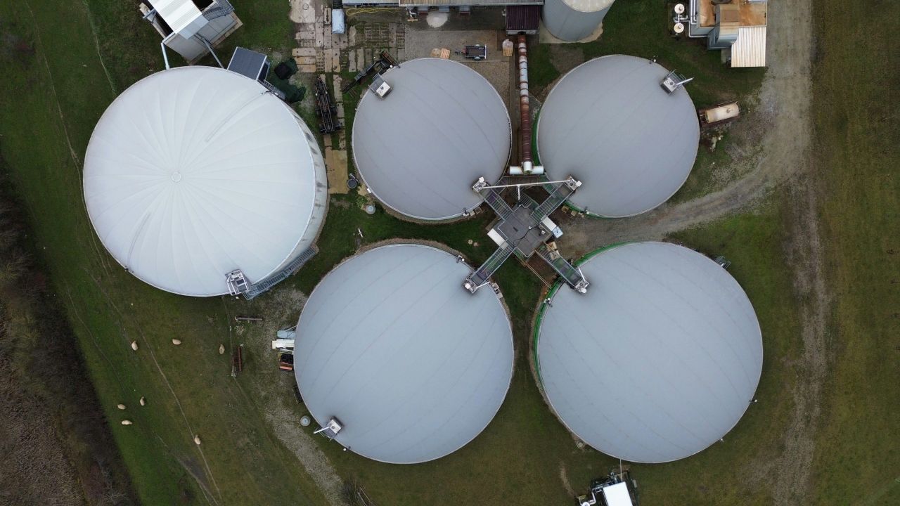 IrBEA publishes 'requirements' for bioenergy ahead of budget