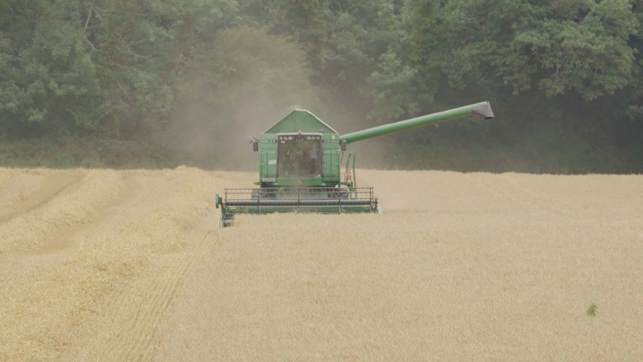 Watch: Co. Kilkenny tillage farmer enjoys strong start to the 2025 cereal harvest