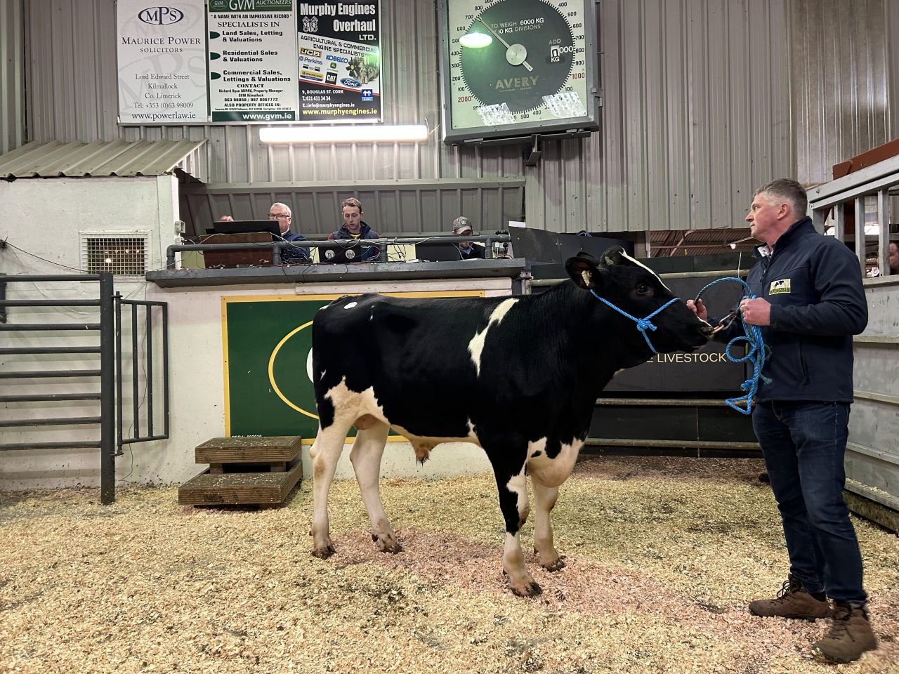 Top price of €10,000 at the IHFA Premier Bull and Heifer sale
