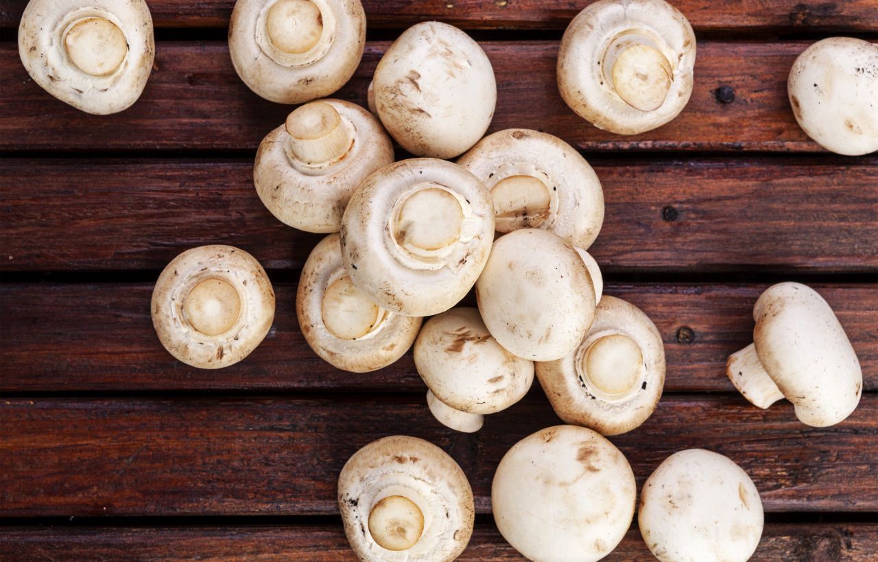 Research officer sought to support commercial mushroom sector