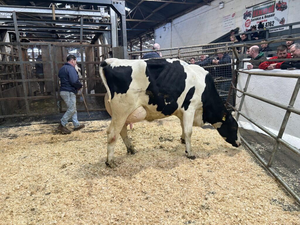 Prices reach 3,800gns at Taaffe Auctions' monthly sale
