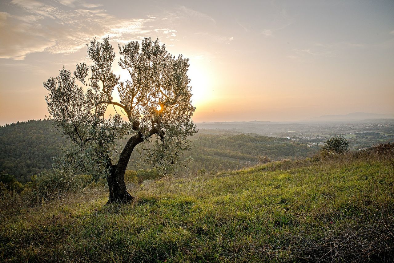 'Transparency' needed when it comes to 'net zero' and 'carbon neutral' claims
