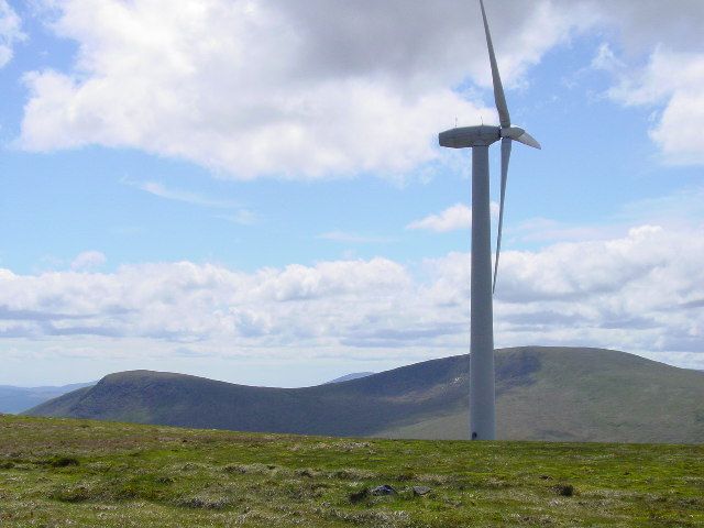 Galway farmer moves from dry stock to plant-based enterprise
