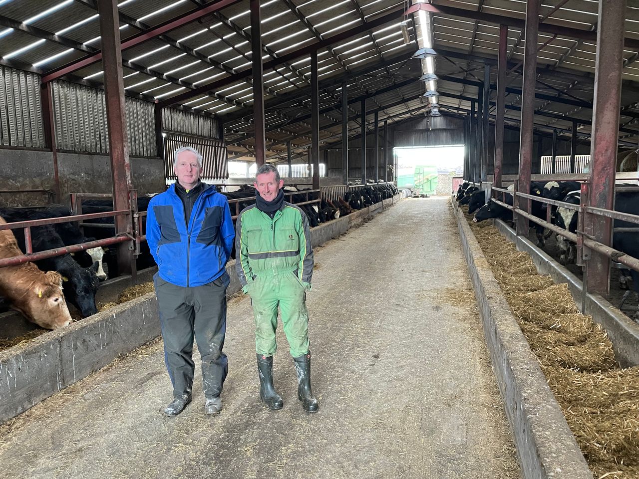 Beef focus: Integrated dairy and beef farm in Tipperary