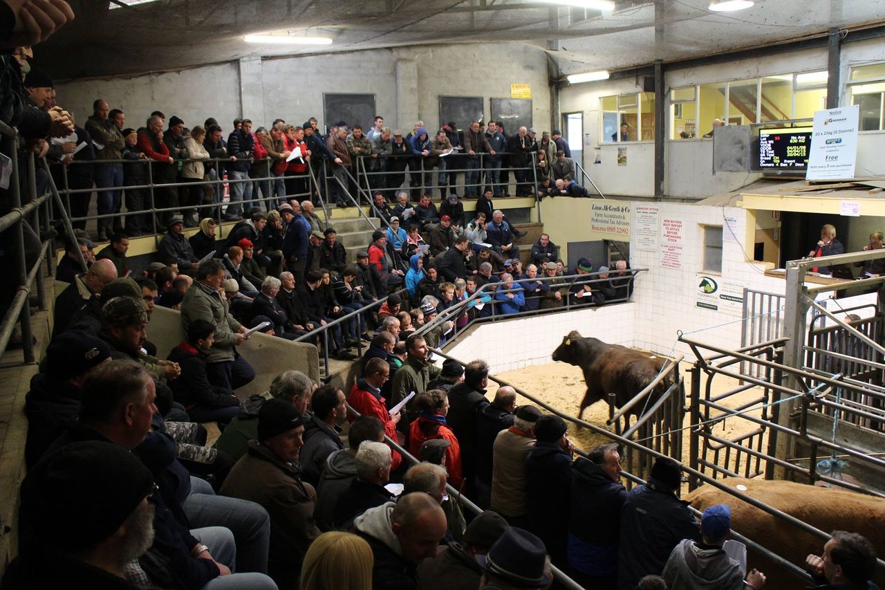 Farmers raise almost €50k at Tullamore Mart for African farm families