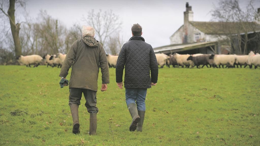How land mobility could push farm productivity