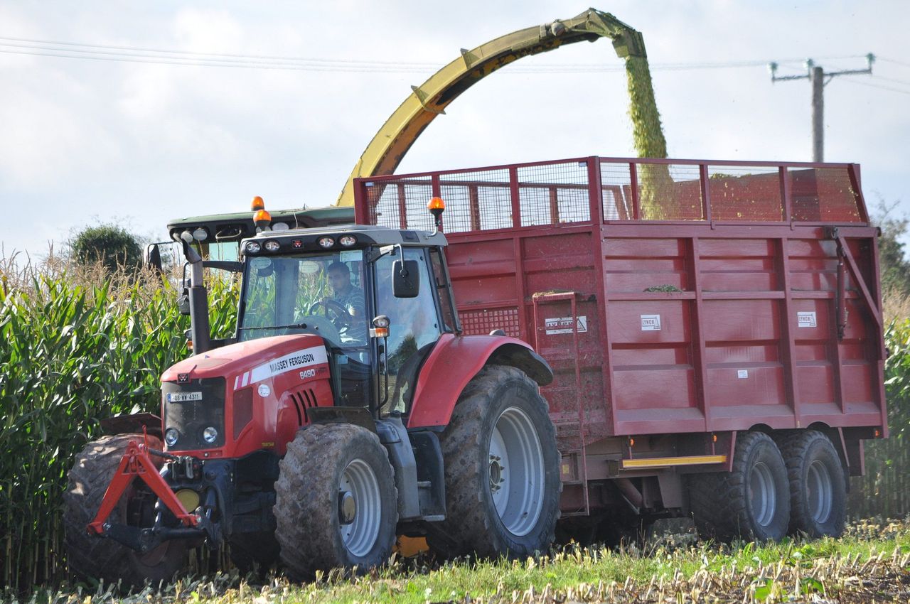 'Growing crops on contract presents a win-win opportunity'