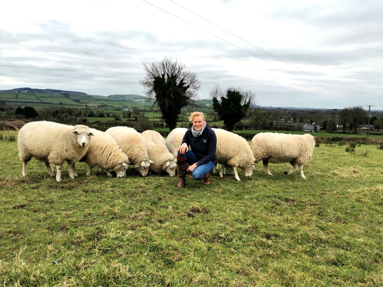 Roscommon council changes crest sheep as GAA on backfoot