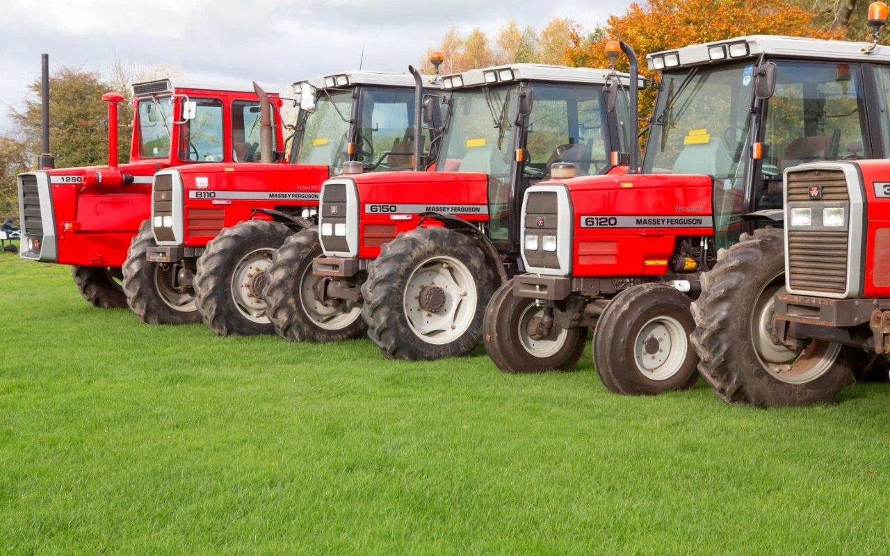 Auction treat for Massey Ferguson fans