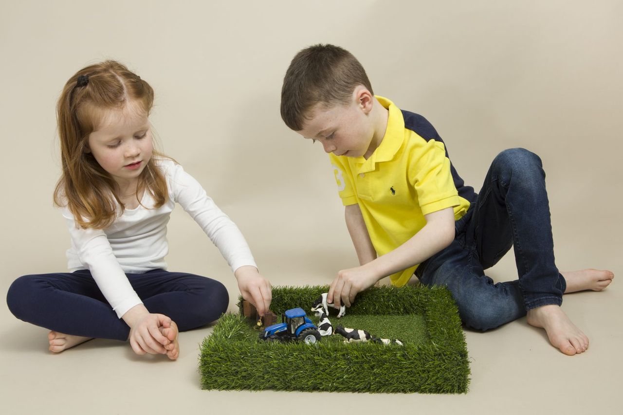 Roscommon sheep farmer shows 'the field' is child's play