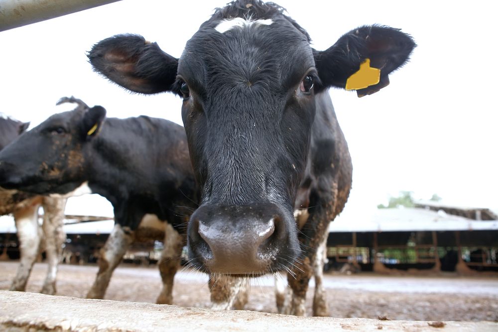'Collaborative approach needed to address milk price concerns'