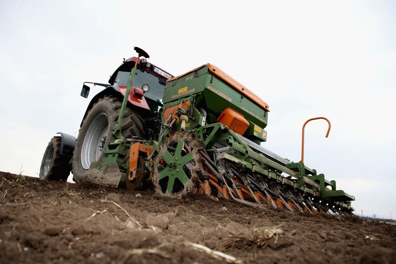 'The tillage sector needs some support or it may well disappear'