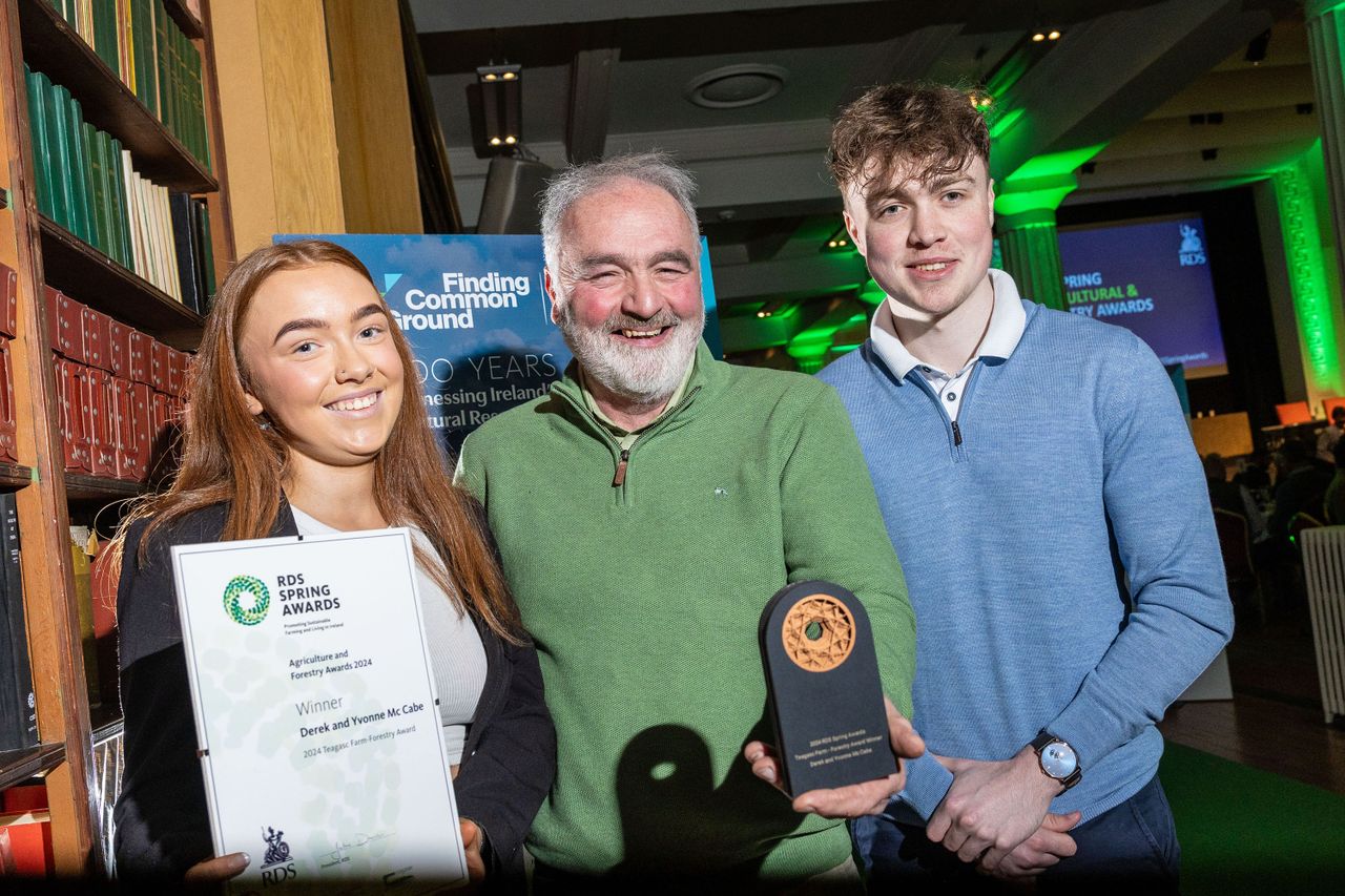 Winners of the RDS forestry and livestock awards announced