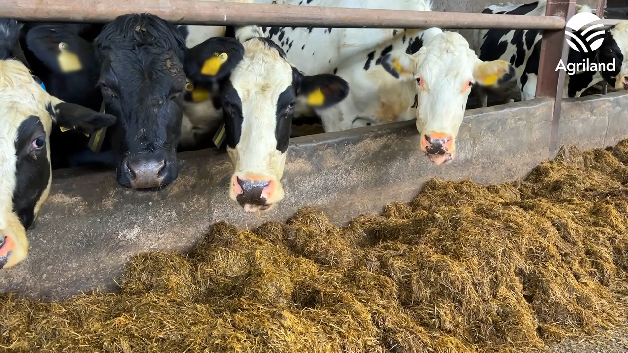 'Real danger' of fertiliser being substituted for concentrates