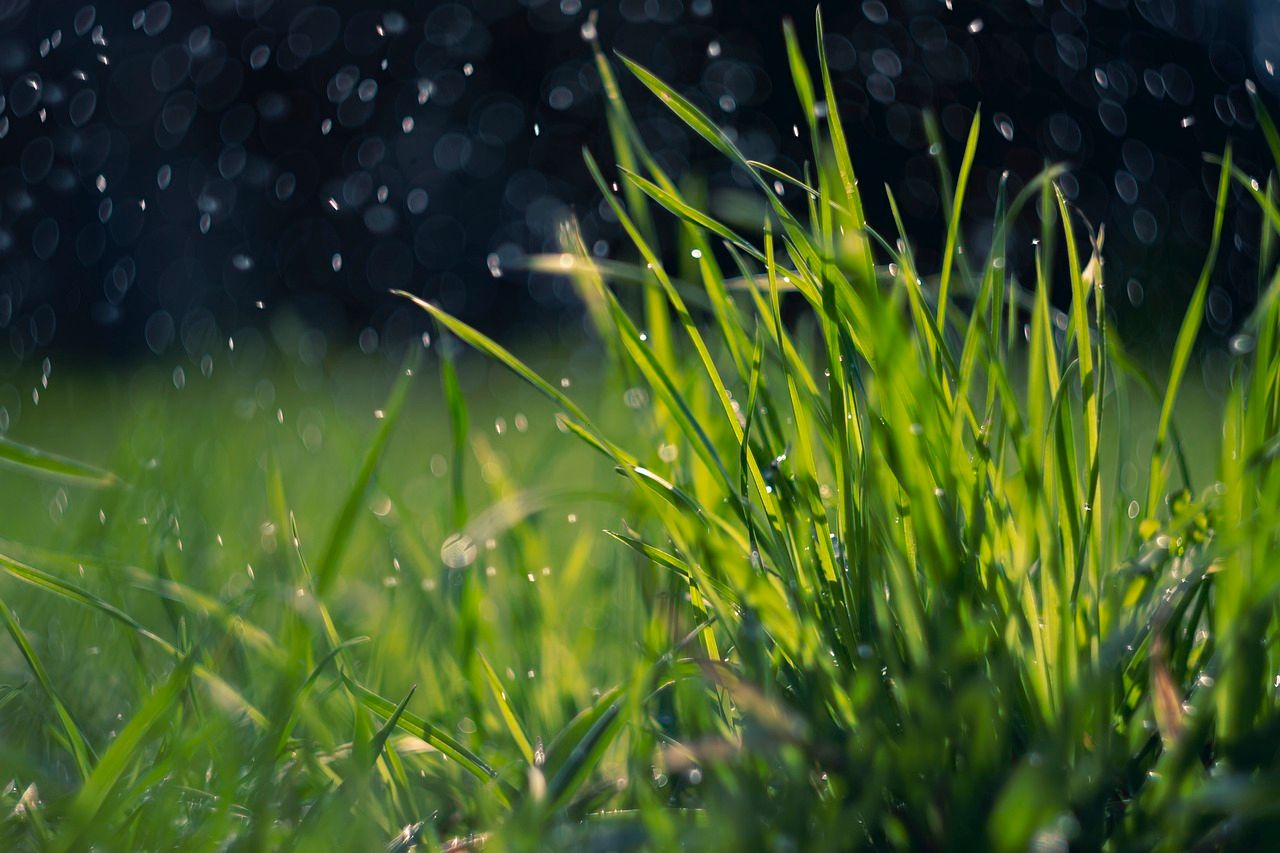 Weather: Mixed and changeable with showers and dry intervals