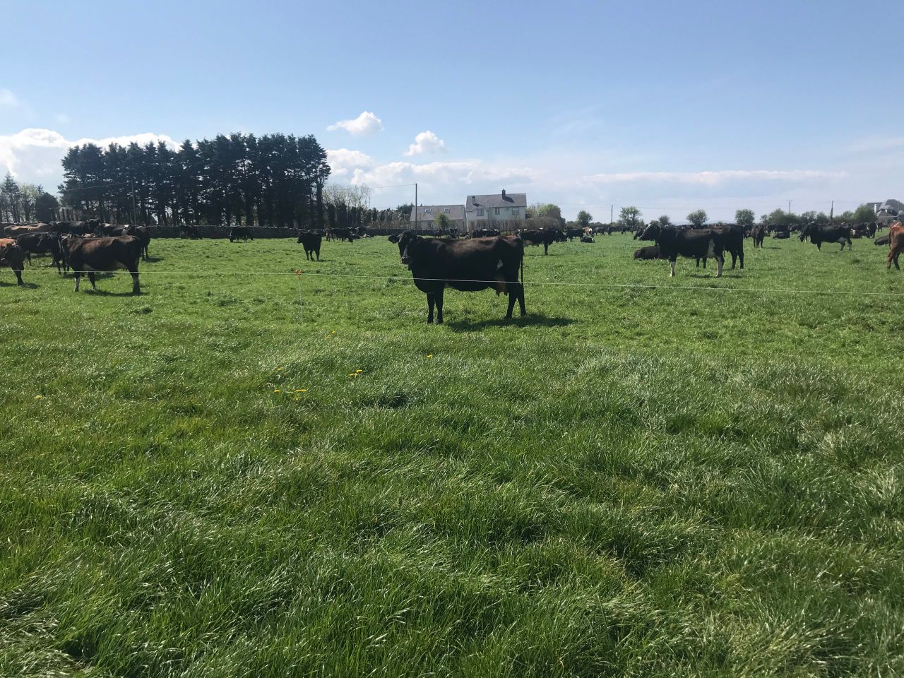 Measures to improve your farm's sustainability