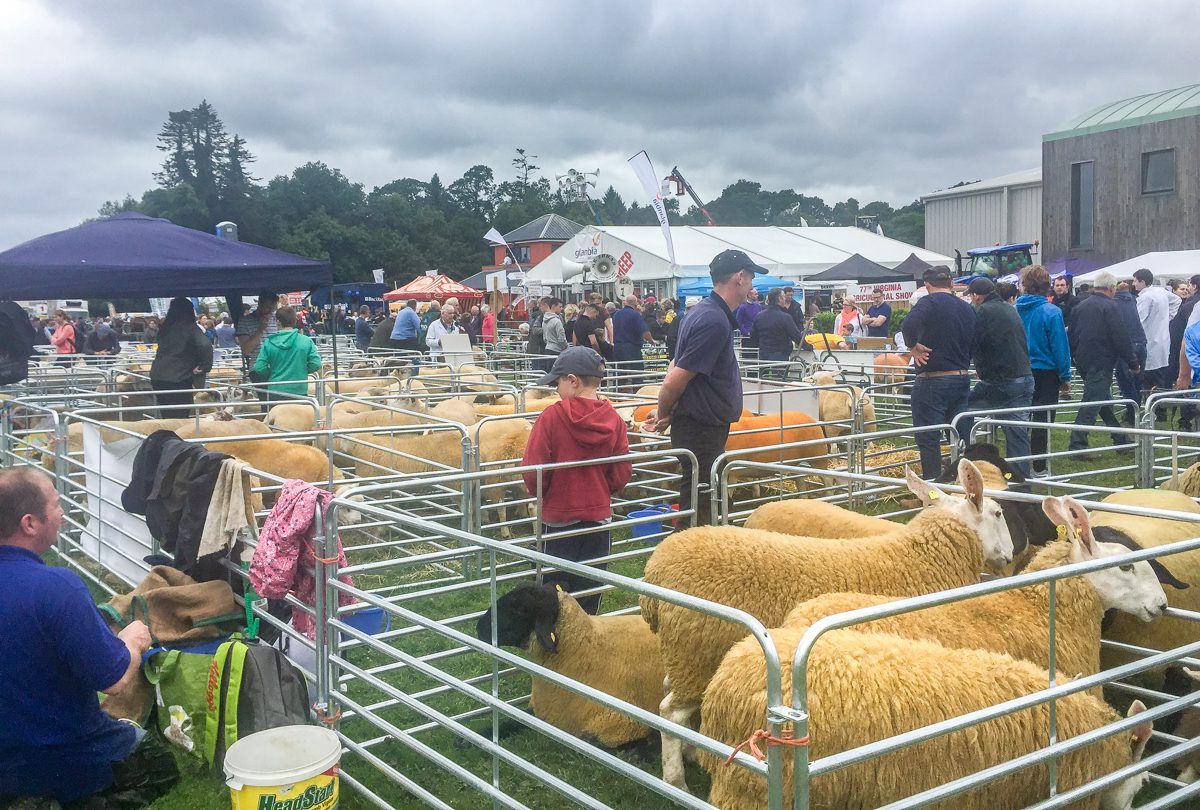 Pics: Crowds gather for 77th Virginia Show